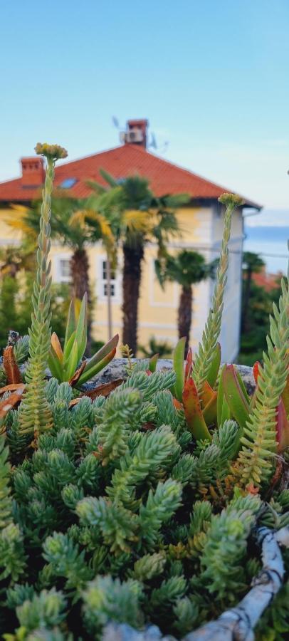 Villa Niki Rezine لوفغان المظهر الخارجي الصورة